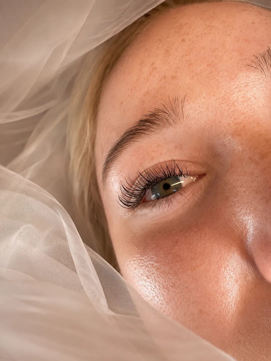 Fein separierte Wimpern in der Detailansicht